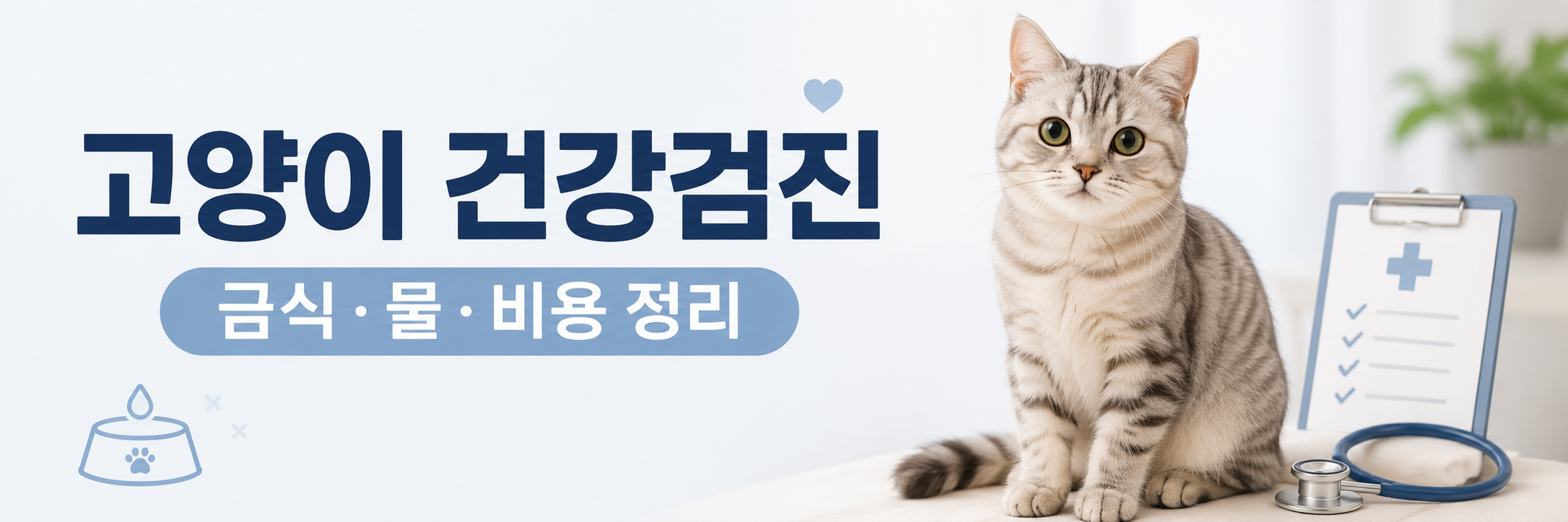 고양이 건강검진 금식, 물, 비용 정리